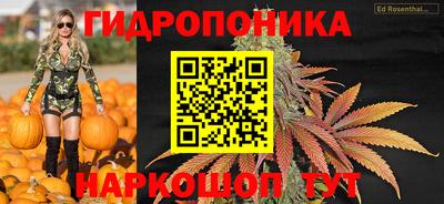индика Янаул