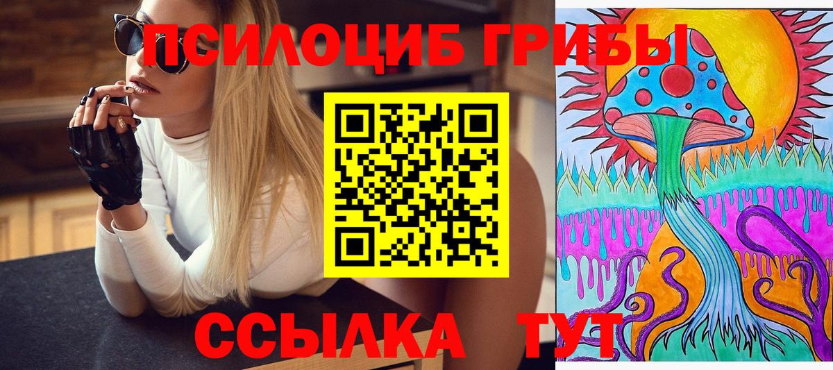 Астрахань  Псилоцибиновые грибы GOLDEN TEACHER  Вход с VPN  Галлюциногенные грибы GOLDEN TEACHER 