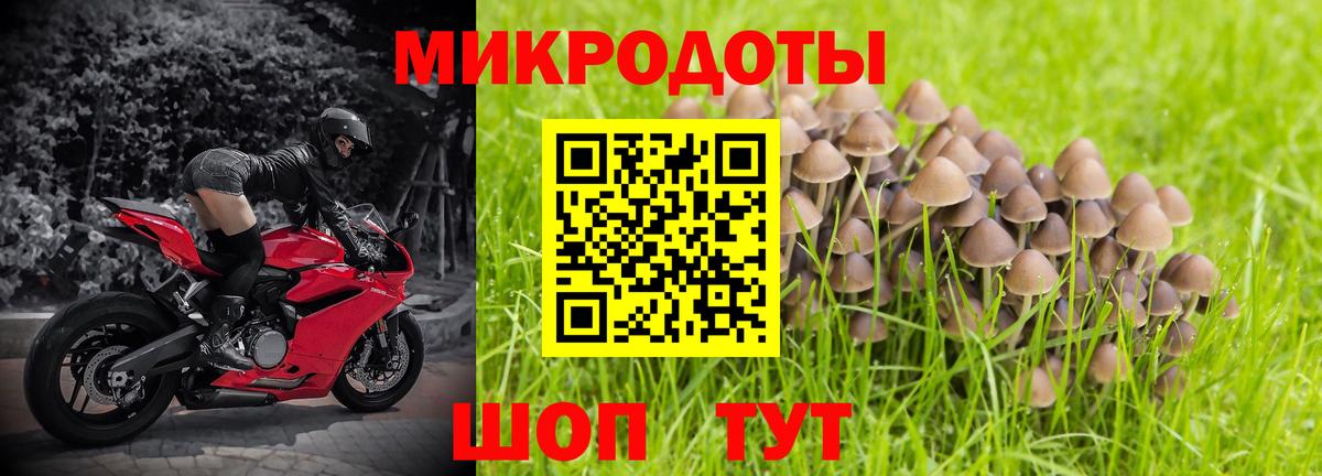 Псилоцибиновые грибы мицелий Астрахань
